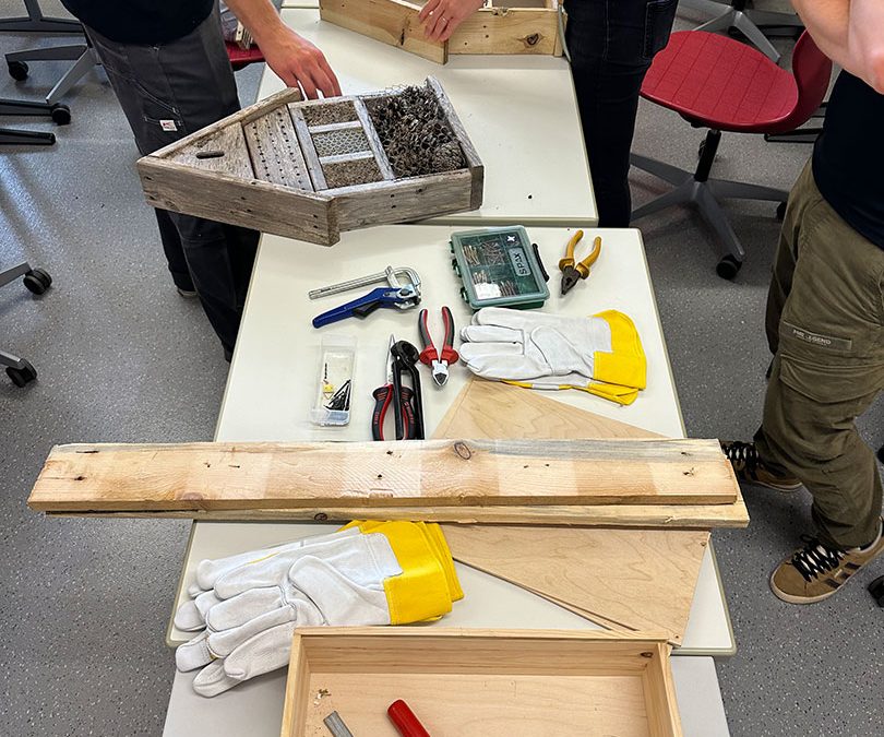 Projektwoche „Level Up – deine Woche, dein Abenteuer“